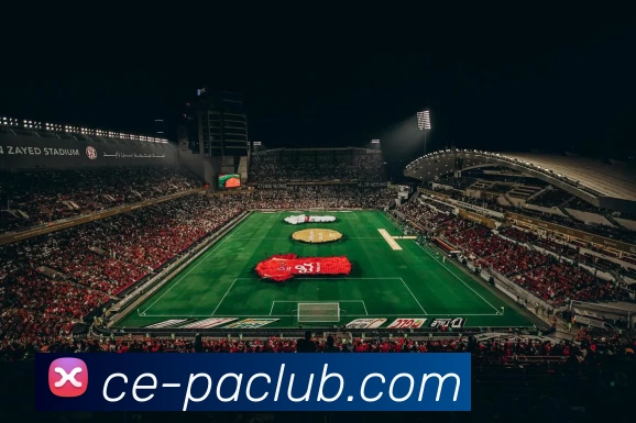 PA官方入口全站App